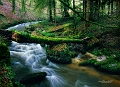 paysage22_03_13n02