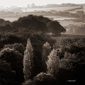 paysage22_06_14n03