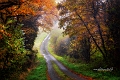 paysage23_11_12n01