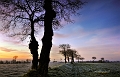 paysage25_01_13n01