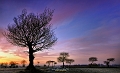 paysage25_01_13n02