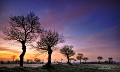paysage25_01_13n03