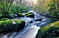 paysage28_04_13n02