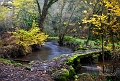 paysage7_12_14n02