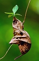 ph07