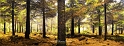 pano23_11_12n02