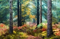 paysage01_11_13n03
