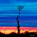 paysage03_02_13n02