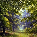 paysage08_06_13n03