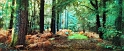 paysage28_10_12n02bis2