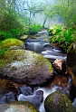 paysage16_04_11n03