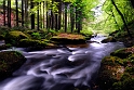 paysage20_05_12n01