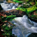 paysage22_03_13n03