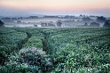 paysage06_07_13n01bis2