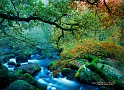 paysage11_11_12n03