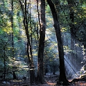 paysage13_10_13n03